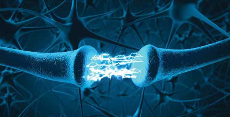 Neurometabolic disorders